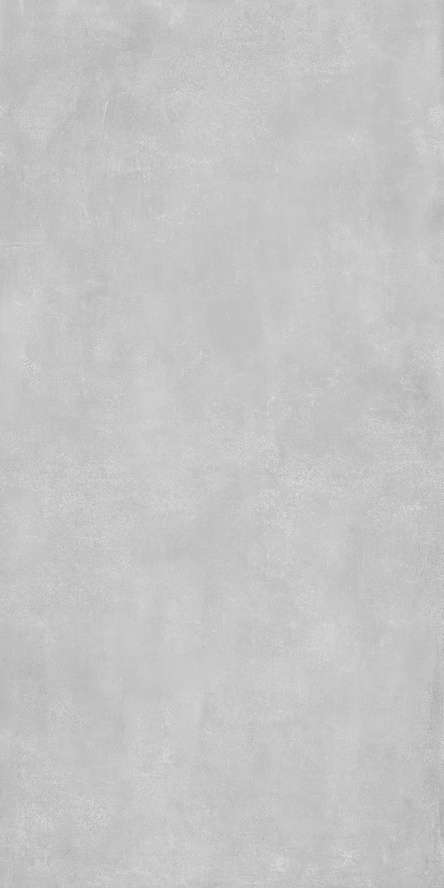 Light Grey Mat.60x120 (600x1200)