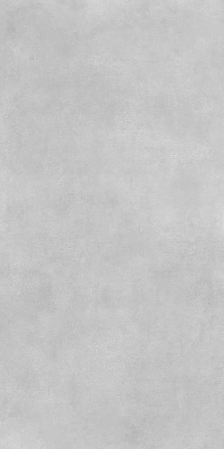 Light Grey Mat.60x120 (600x1200)