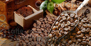 Фейс Coffee Coffee 3 DD426-D3