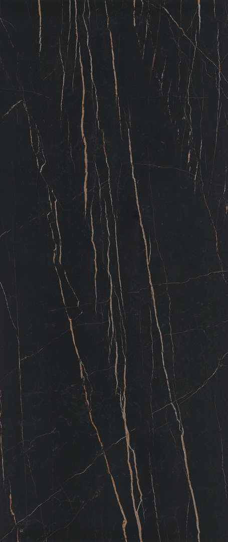 Black Gold Glossy 120x270 (1200x2700)