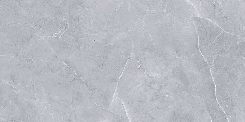 Light Grey 120x60 (1200x600)