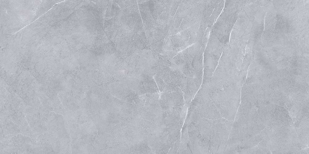 Light Grey 120x60 (1200x600)