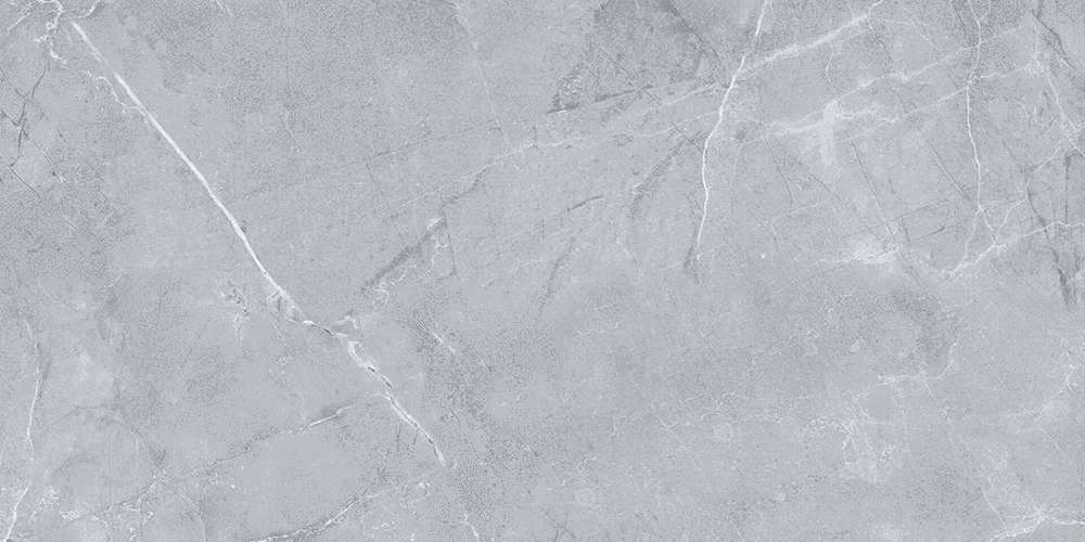 Light Grey 120x60 (1200x600)