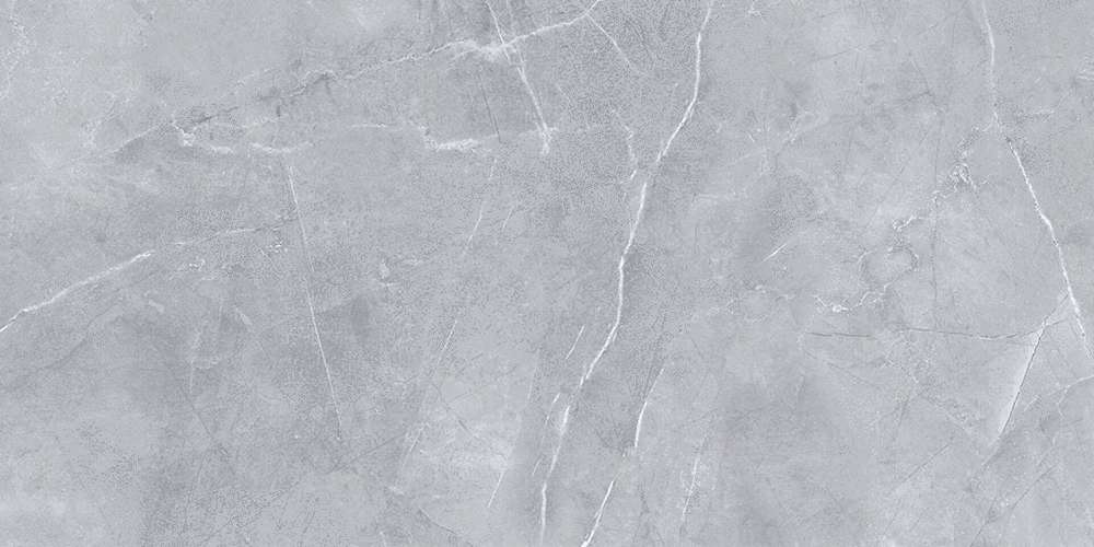 Light Grey 120x60 (1200x600)