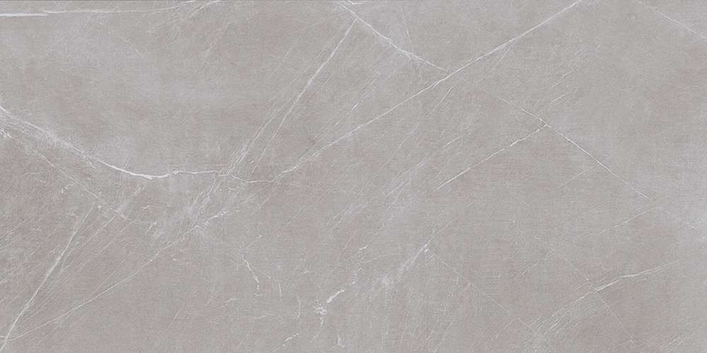 Grey 120x60 (1200x600)