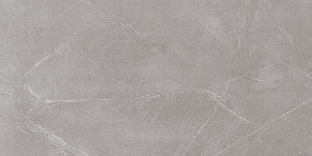 Grey 120x60 (1200x600)