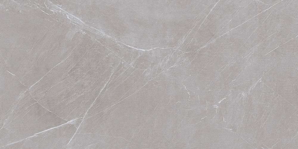 Grey 120x60 (1200x600)