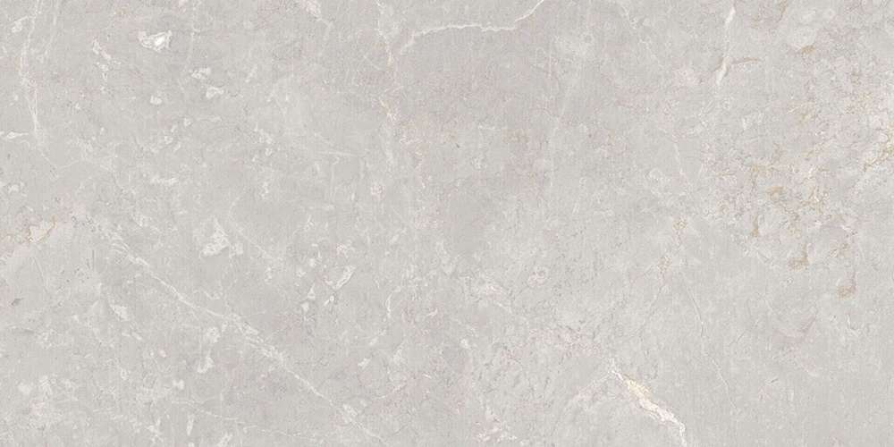 Grey 120x60 (1200x600)