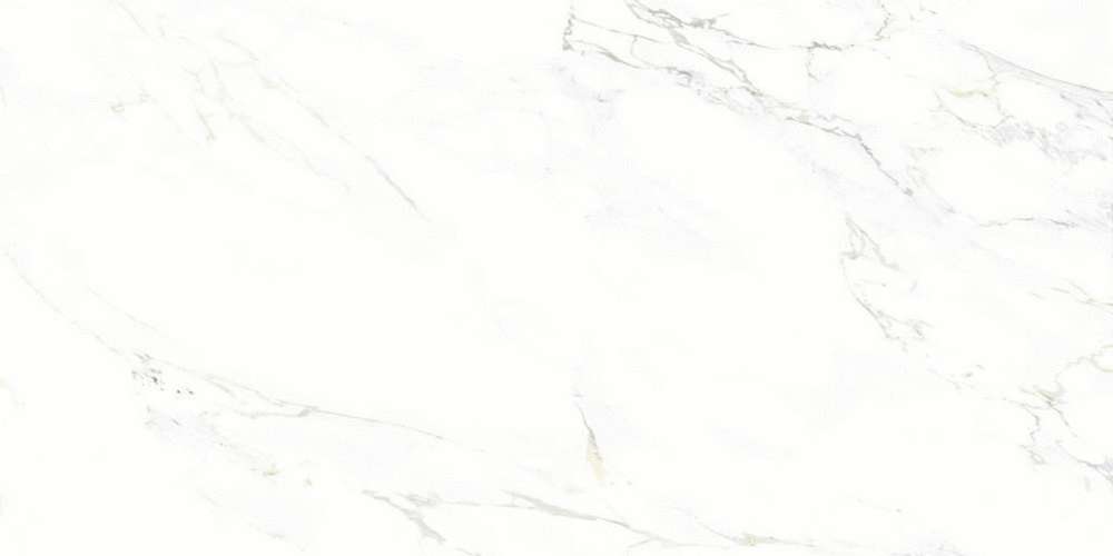 White 160x80 (1600x800)