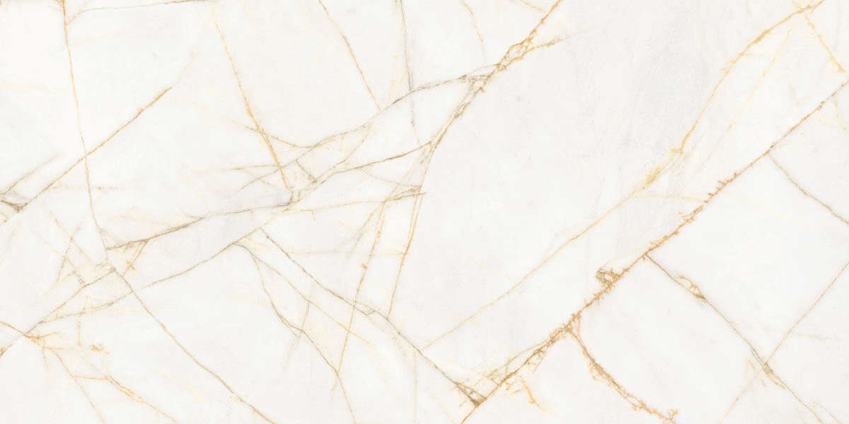 Golden Spider Nat R 60x120 (1200x600)