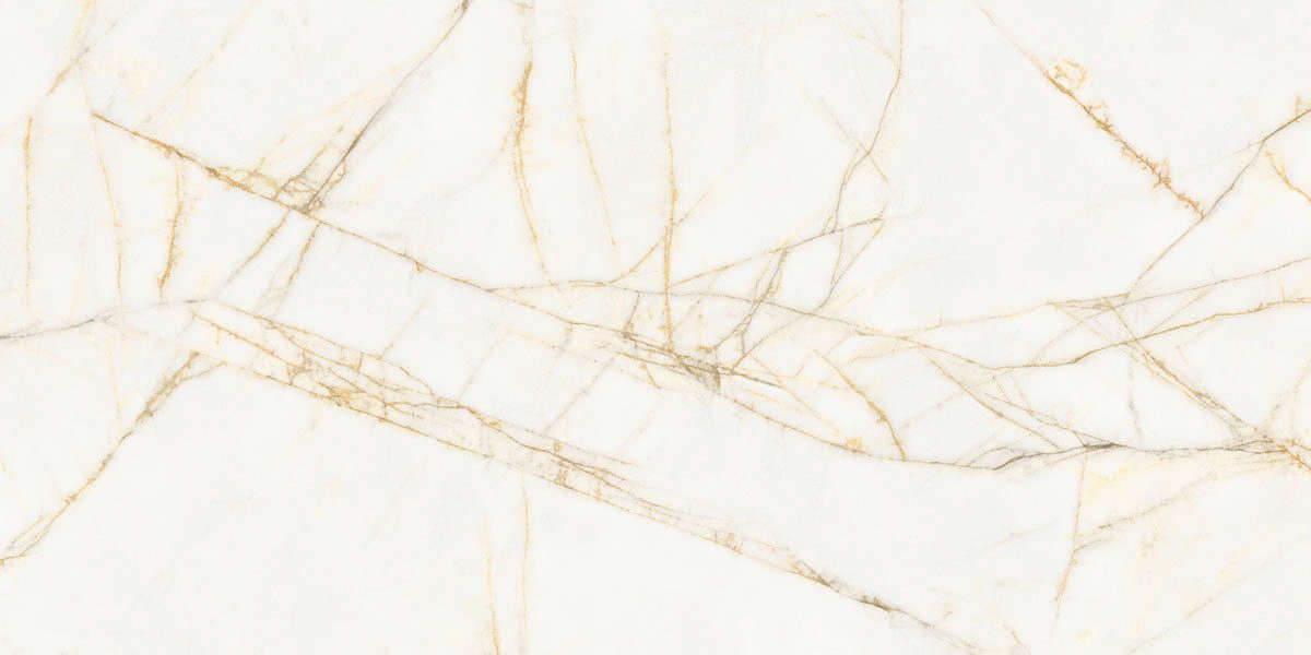 Golden Spider Nat R 60x120 (1200x600)