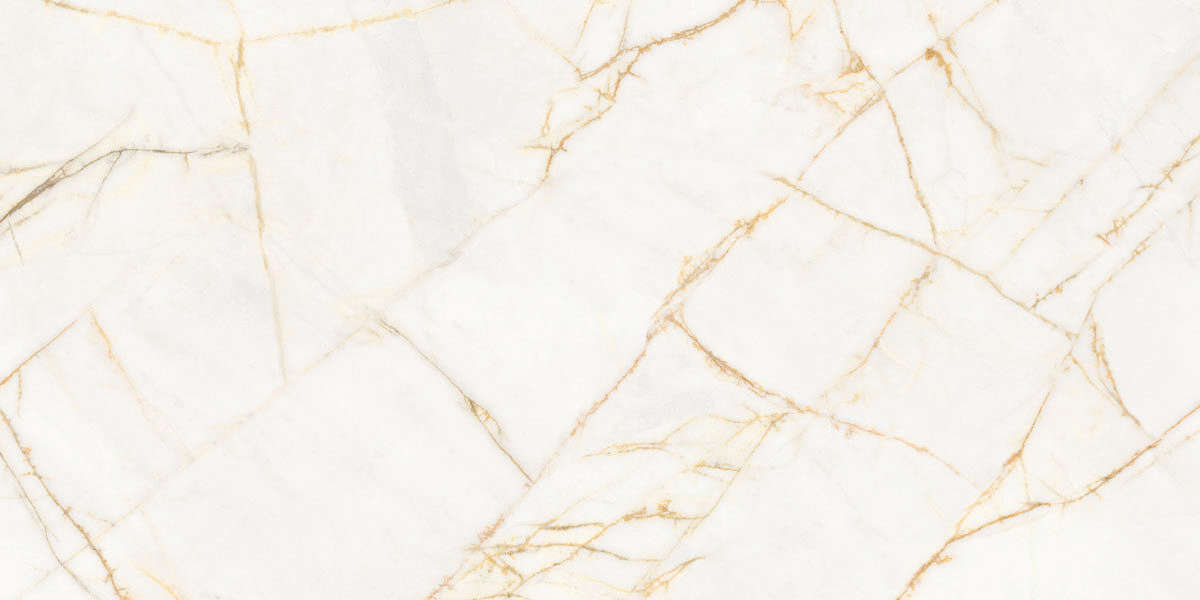 Golden Spider Nat R 60x120 (1200x600)