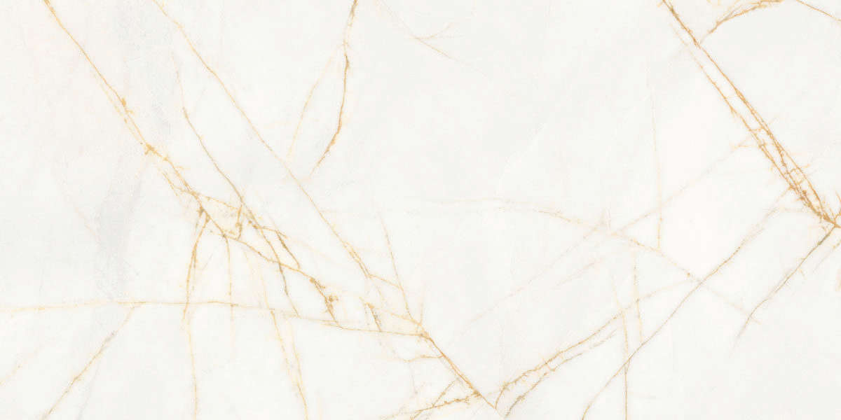 Golden Spider Nat R 60x120 (1200x600)