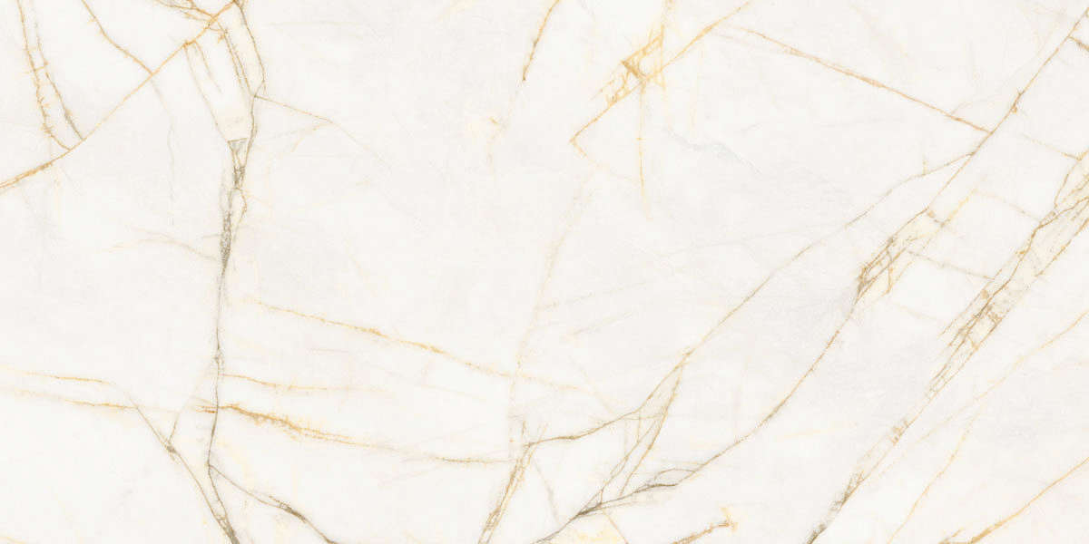 Golden Spider Nat R 60x120 (1200x600)