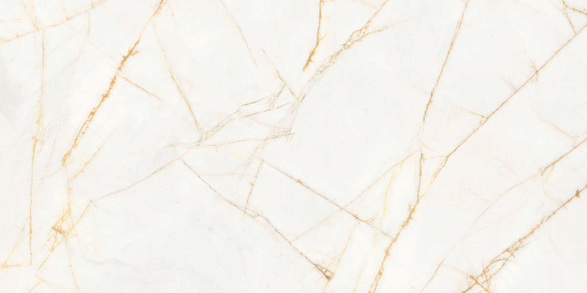 Golden Spider Nat R 60x120 (1200x600)