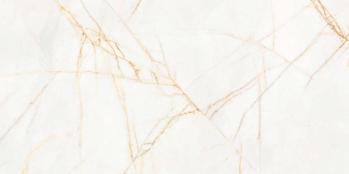 Golden Spider Nat R 60x120 (1200x600)