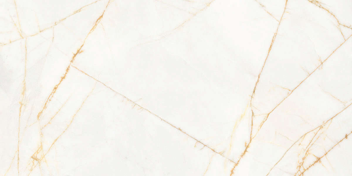 Golden Spider Nat R 60x120 (1200x600)