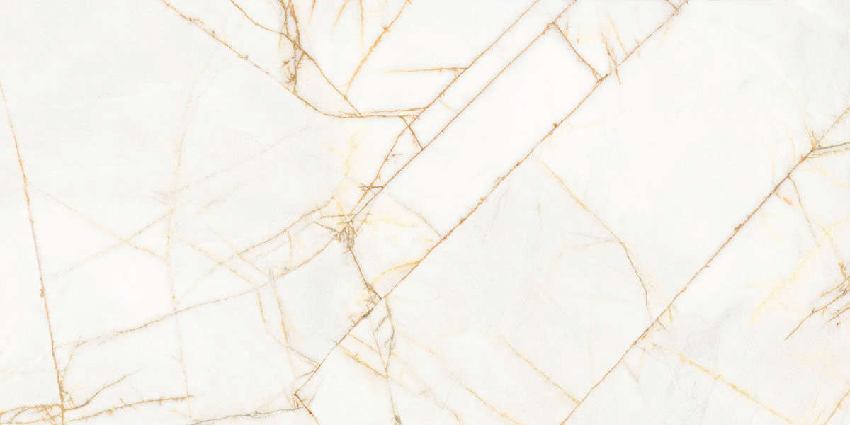 Golden Spider Nat R 60x120 (1200x600)