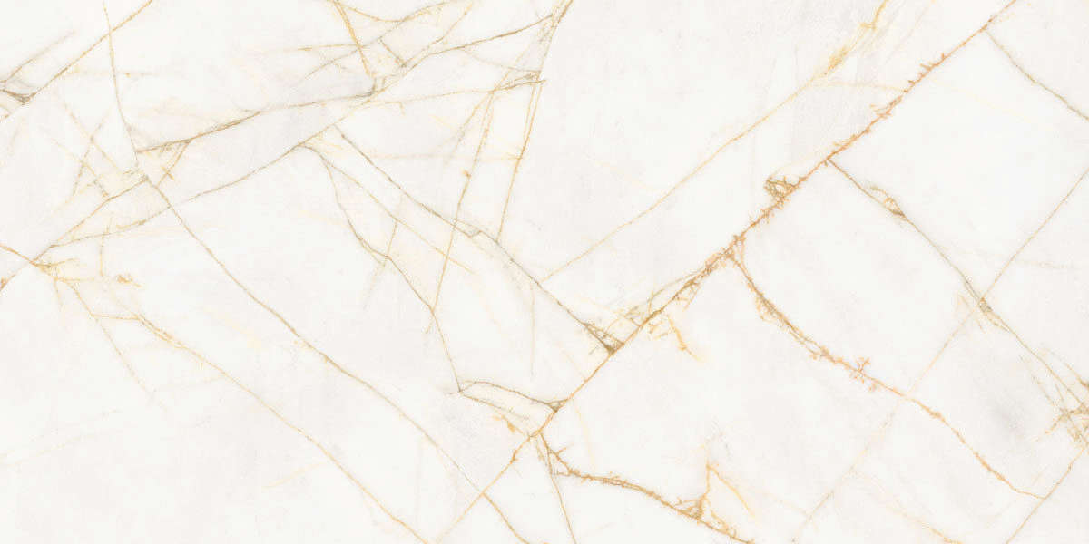 Golden Spider Nat R 60x120 (1200x600)