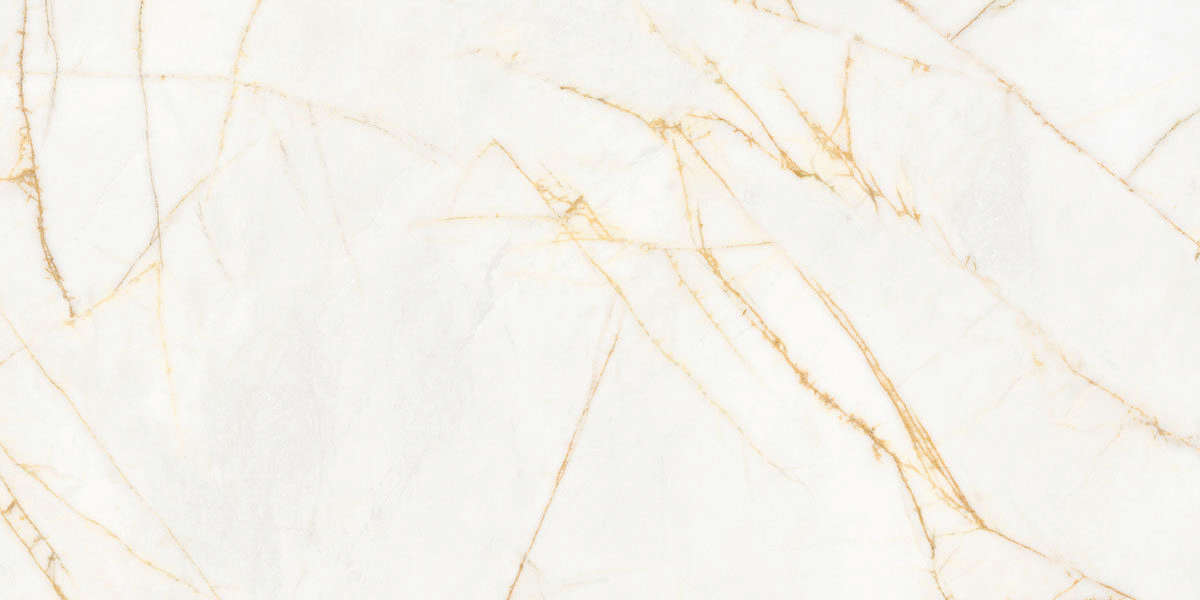 Golden Spider Nat R 60x120 (1200x600)