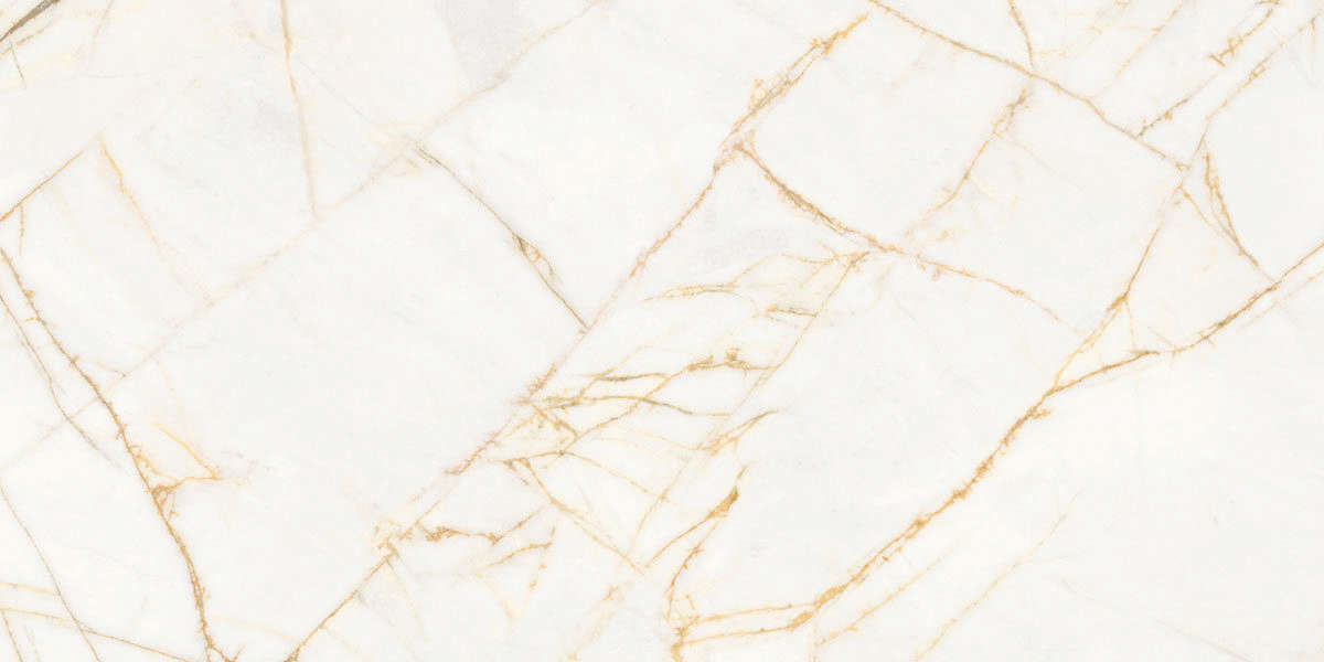 Golden Spider Nat R 60x120 (1200x600)