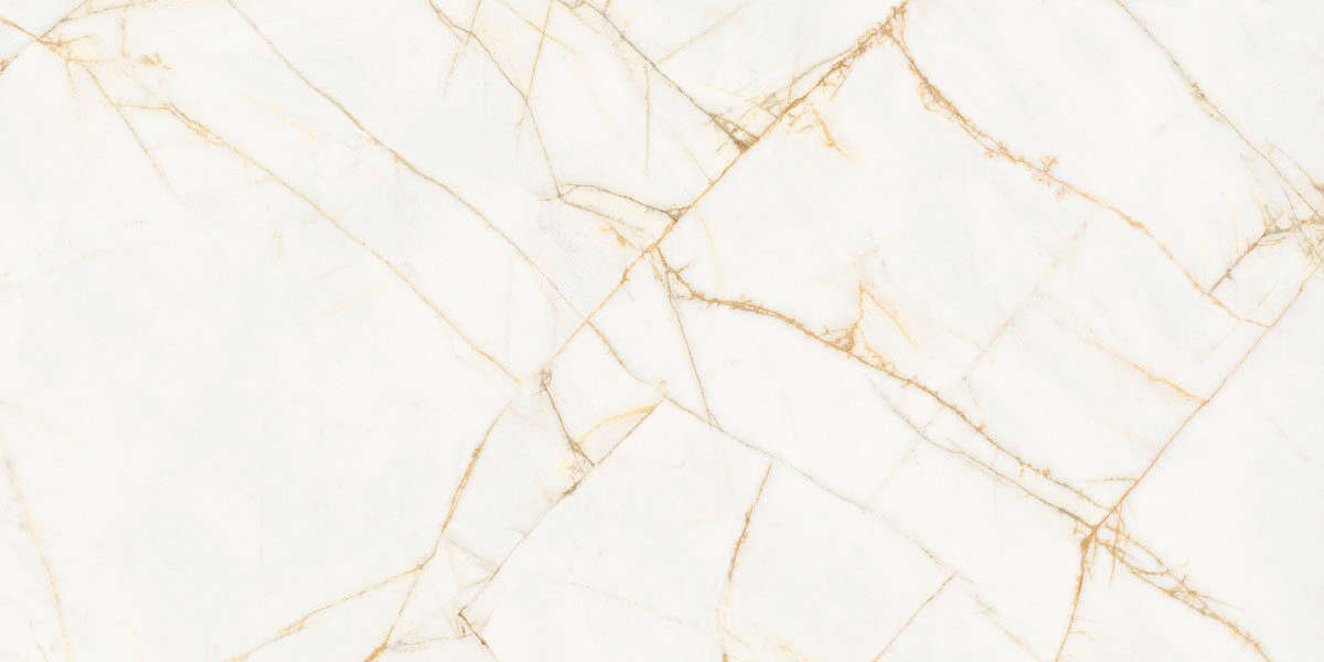 Golden Spider Nat R 60x120 (1200x600)