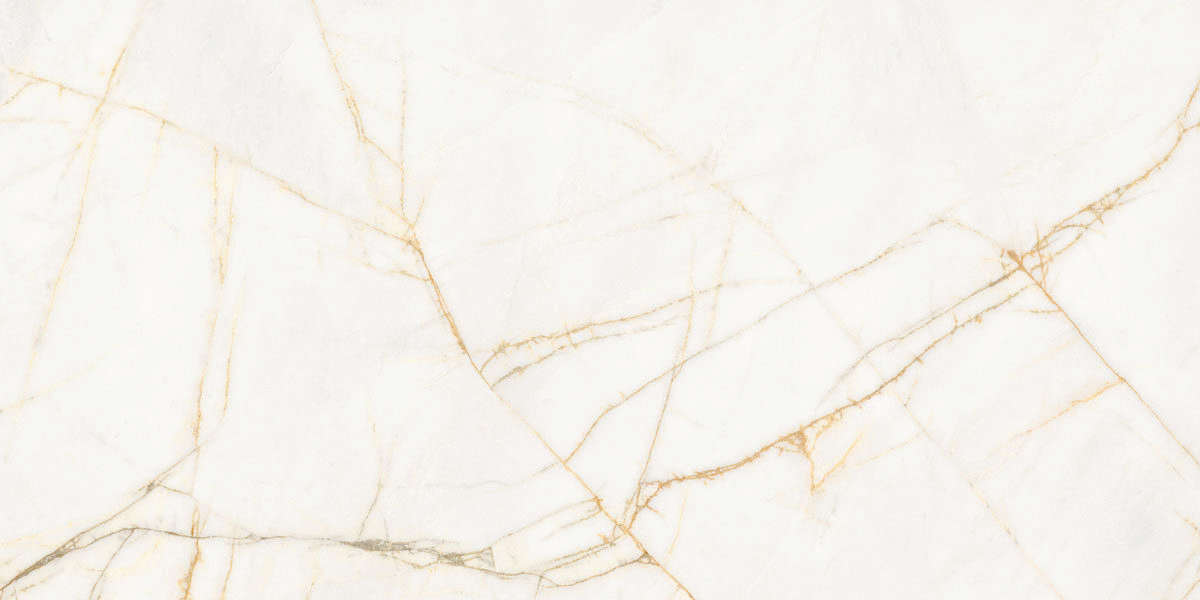 Golden Spider Nat R 60x120 (1200x600)