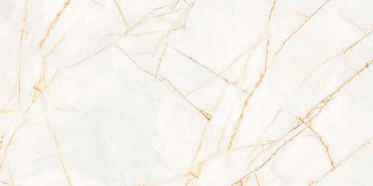 Golden Spider Nat R 60x120 (1200x600)