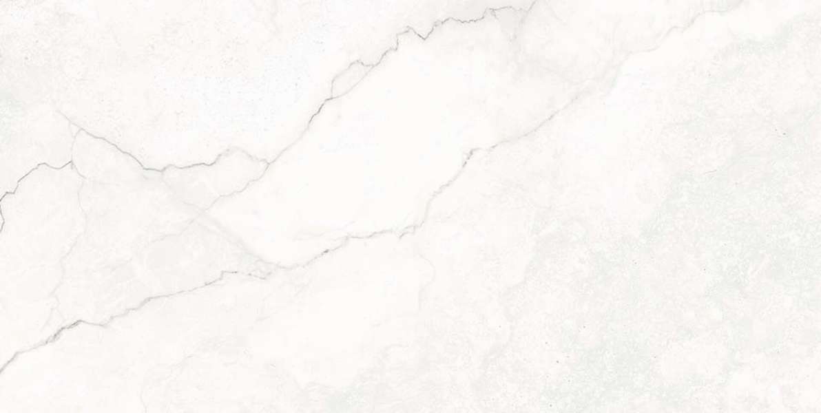 Blanco 60x120 (1200x600)