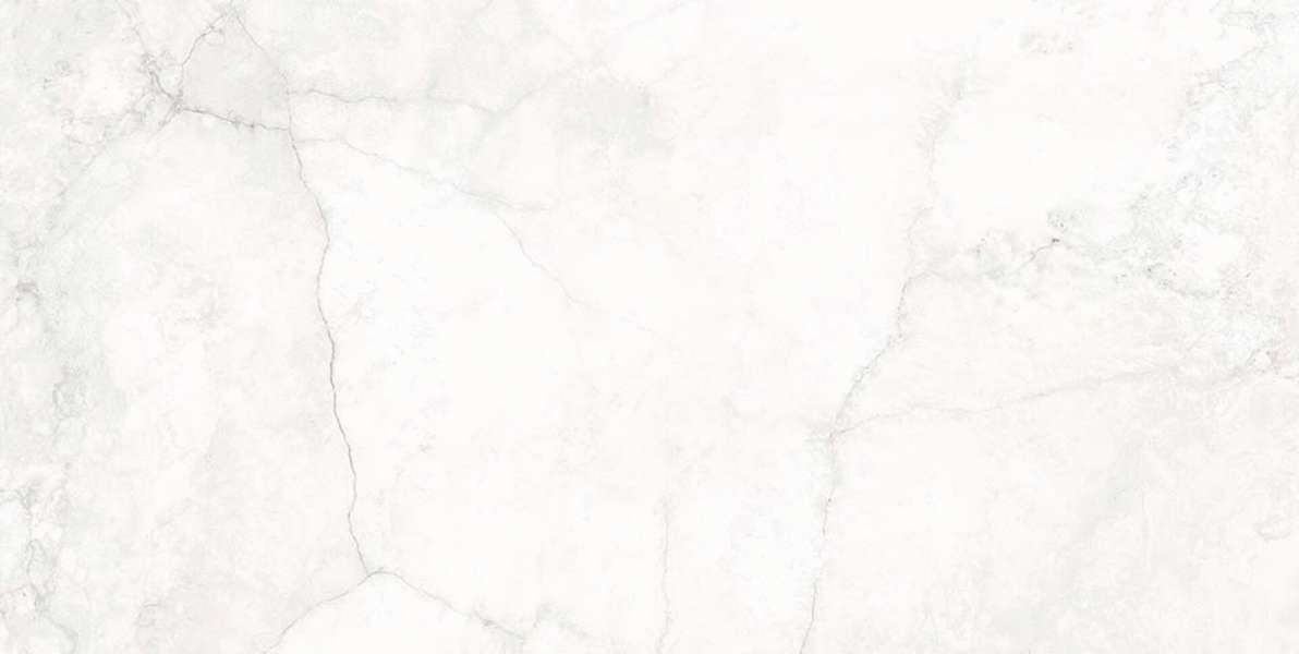 Blanco 60x120 (1200x600)