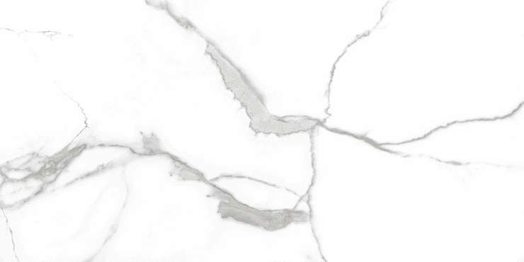 Геотайлс Nilo Blanco Leviglass 60x30