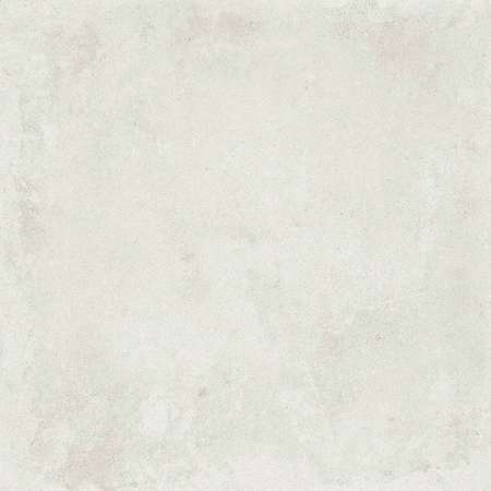 White 45x45 (450x450)