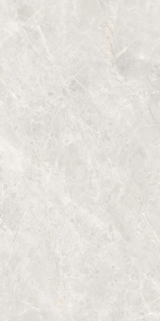 Светло-Серый Матовый 60x120 (600x1200)