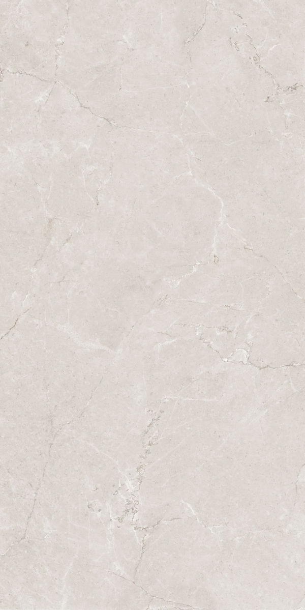 Серо-Бежевый Матовый 60x120 (600x1200)