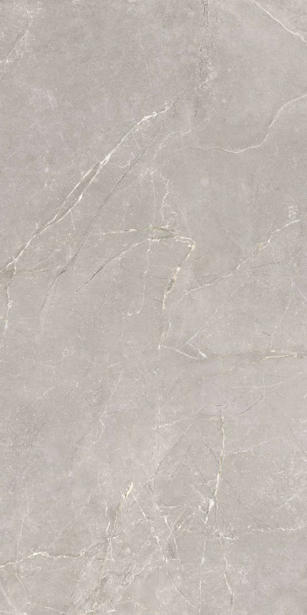 Серый 60x120 Лаппатированный (Soft Sugar + цифровая граниль) (600x1200)