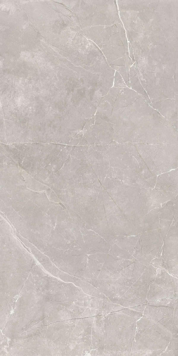 Серый 60x120 Лаппатированный (Soft Sugar + цифровая граниль) (600x1200)