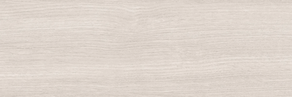 Grey PG 01 20х60 (600x200)
