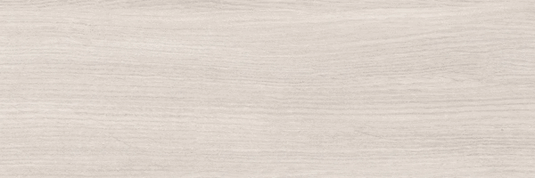 Grey PG 01 20х60 (600x200)