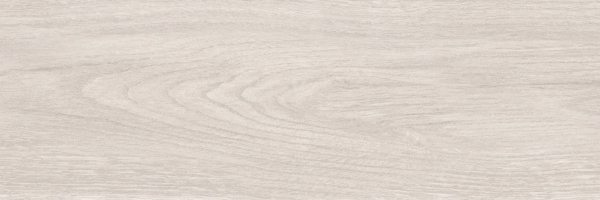Grey PG 01 20х60 (600x200)