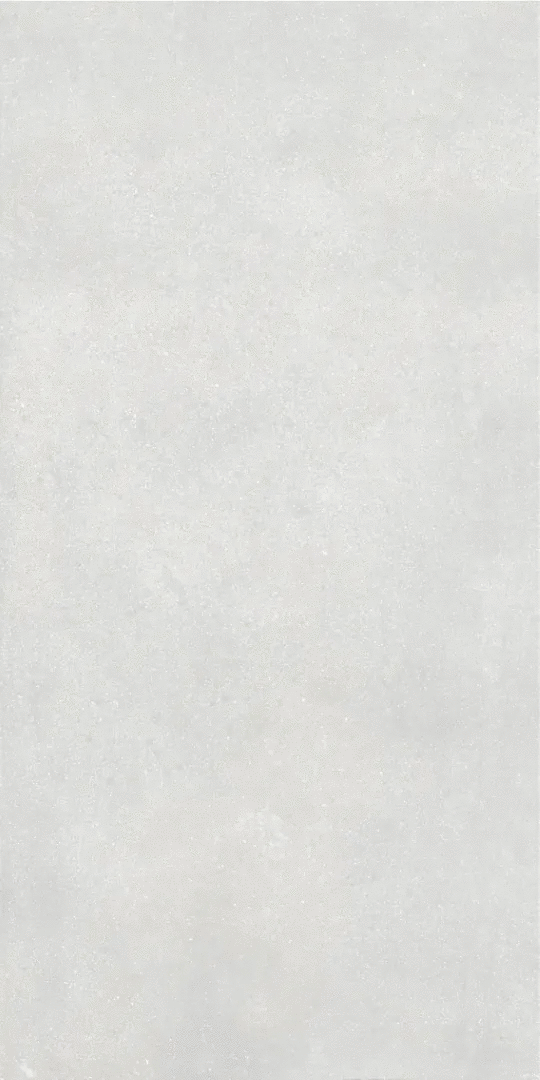 Light grey Светло-Серый PG 11 60х120 (600x1200)