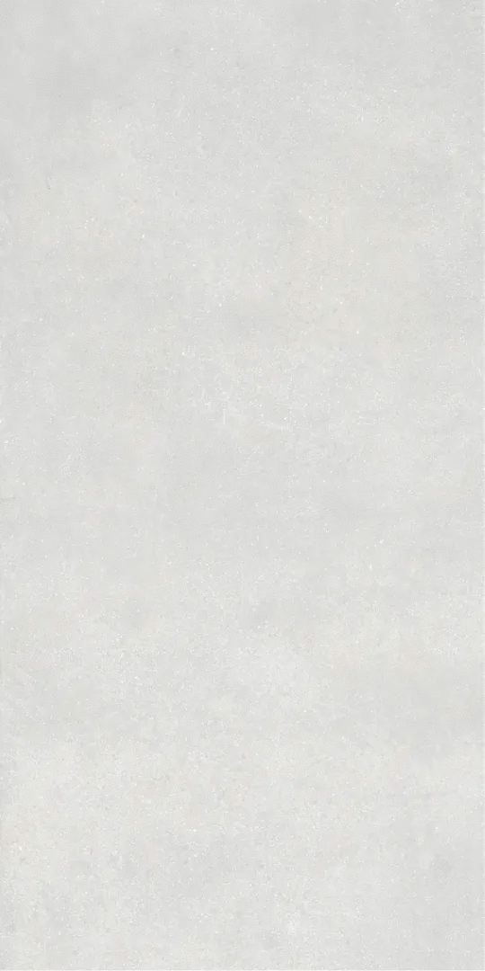 Light grey Светло-Серый PG 11 60х120 (600x1200)