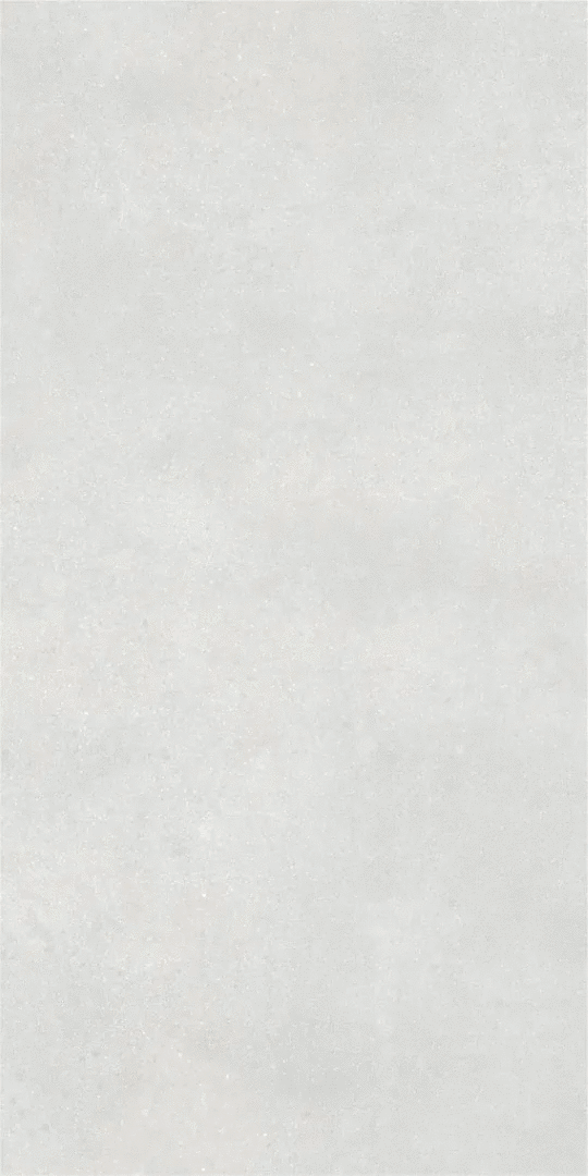 Light grey Светло-Серый PG 11 60х120 (600x1200)