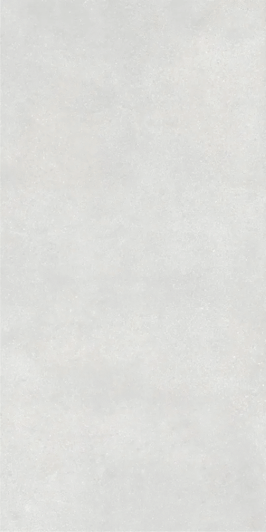 Light grey Светло-Серый PG 11 60х120 (600x1200)