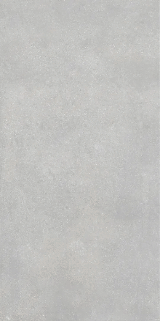 Grey Серый PG 11 60х120 (600x1200)