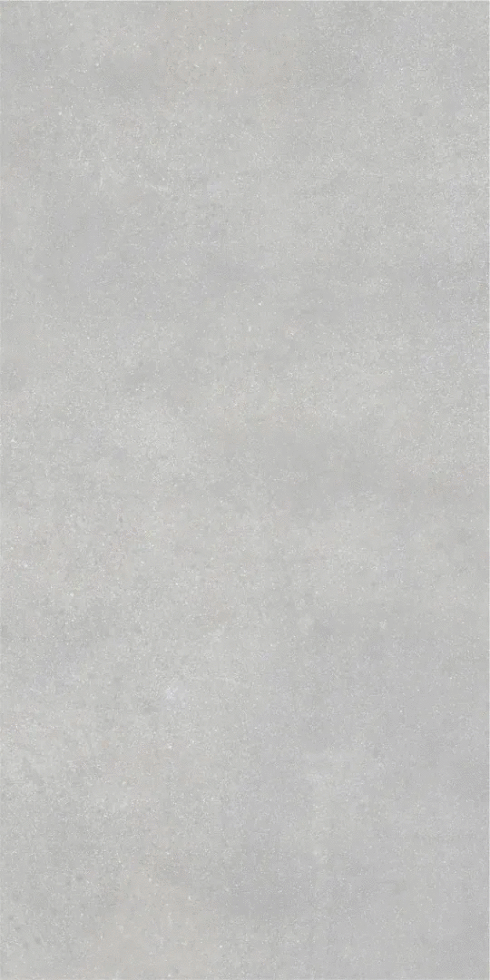 Grey Серый PG 11 60х120 (600x1200)