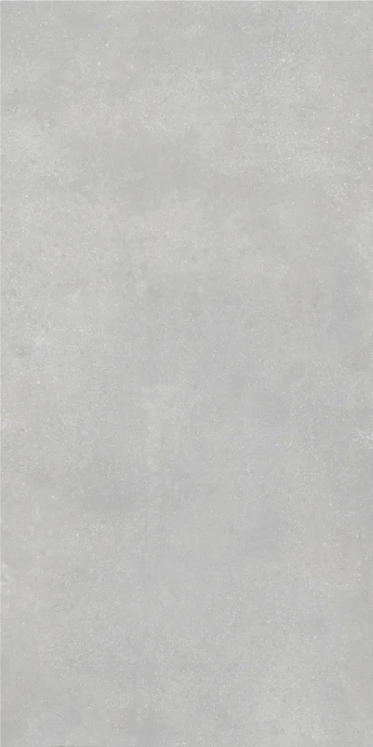 Grey Серый PG 11 60х120 (600x1200)