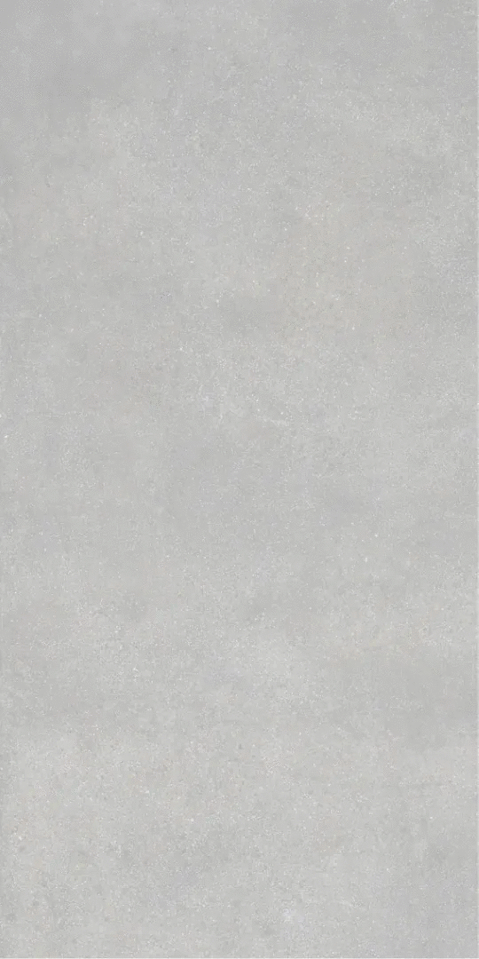 Grey Серый PG 11 60х120 (600x1200)