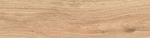 Oslo Beige Pg 01 (500x125)