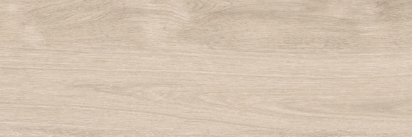 Beige PG 01 20х60 (600x200)