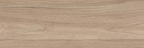 Beige PG 03 20х60 (600x200)
